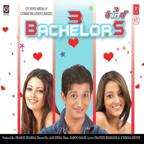 3 Bachelors (2012) (Hindi)